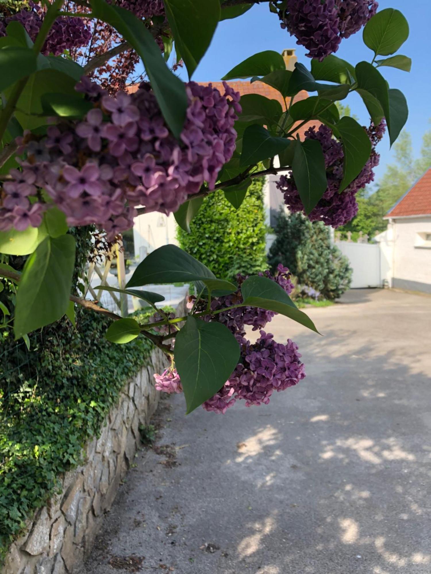 Le Clos De La Pommeraie Carly Exterior photo